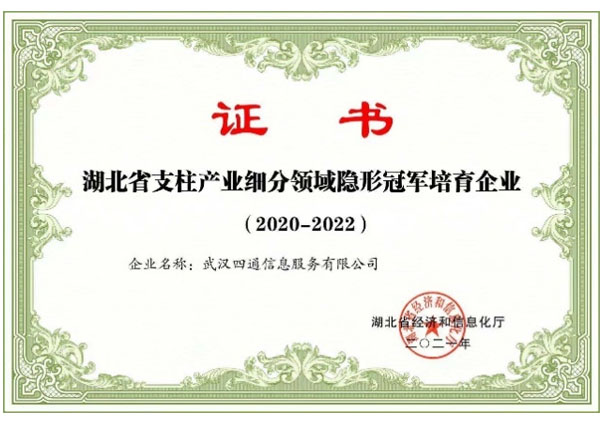 湖北省IT运维服务细分领域“隐形冠军”