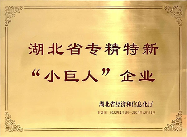 湖北省专精特新“小巨人”企业